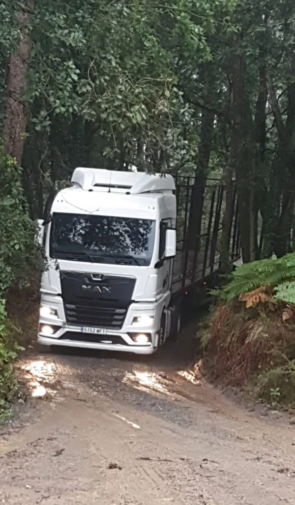 Transporte para el sector forestal