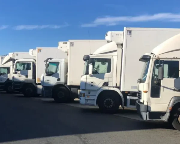 Flota de transporte a temperatura controlada